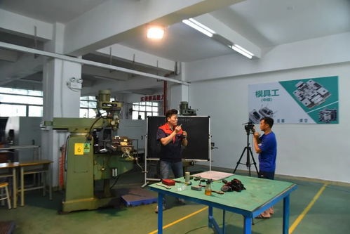 創新培訓服務企業 寶山技工全面啟動企業適崗培訓工作，聚焦信息技術咨詢服務